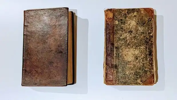 200 Yıllık Sırrın Peşindeyiz: Katilin Derisiyle Yapılmış Kitap Müzede Sergileniyor