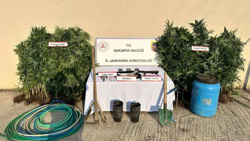 Sakarya’da Şok Uyuşturucu Operasyonu: Tek Tutuklama Hayatları Değiştirdi