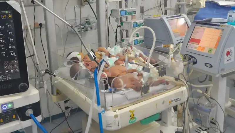 Gazzeli Doktorların İnsani Drama İhtiyacı: Birden Fazla Bebek Aynı Kuvözde