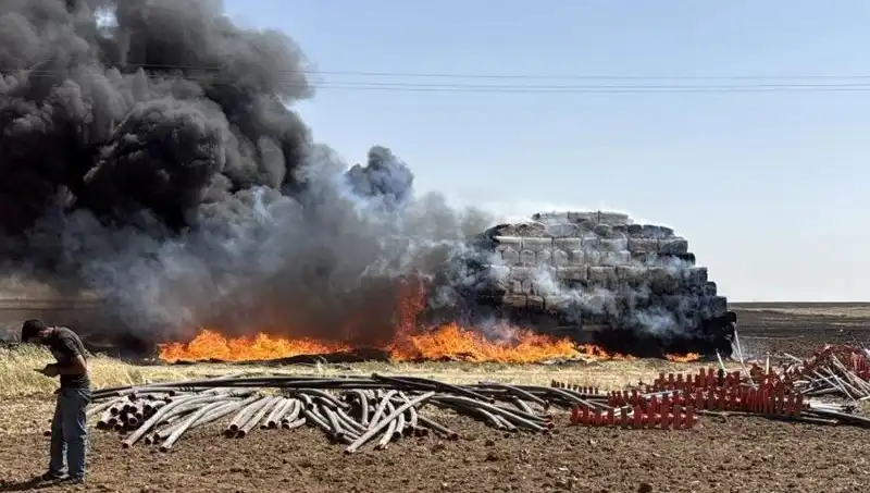 Mardin'de Anız Yangını: Doğaya Verilen Zarar ve Çözüm Önerileri