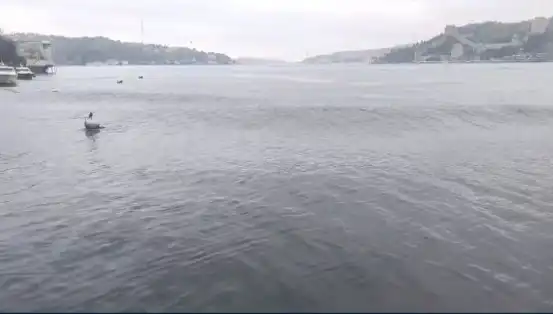 İstanbul’da 6.2 Büyüklüğündeki Deprem, Denizde Dalgalar Yükseldi!