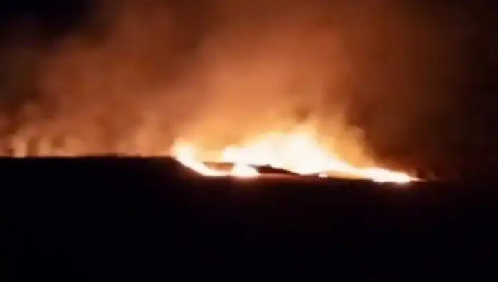 20 Dönüm Arazi Alev Alev Yandı: Yangının Sebepleri ve Sonrası