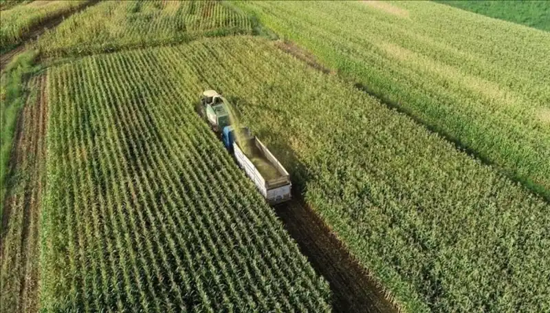 2025 Mart Ayı Mazot ve Gübre Desteği Ödemeleri Hakkında Tüm Detaylar