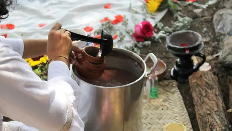 Ayahuasca Çayı: Yasak Mı, Faydaları Neler? Keşfedin!